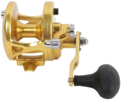 Avet JX 6.0 G2 1 Speed Reel - Gold (No Glide Plate) -Fishing Goods Store avet jx 6 0 g2 rh gd ngp reel 27109.1670274062