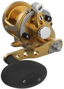 Avet SX G2 5.3 Single Speed Reel Gold