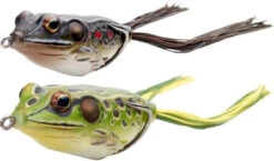 LIVETARGET Lures Frog Hollow Body