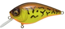 Megabass Knuckle LD Crankbait