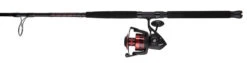 Penn FRCIII8000102H Fierce III Spinning Combo -Fishing Goods Store penn frciii8000102h fierce iii spinning combo 93197.1651244507