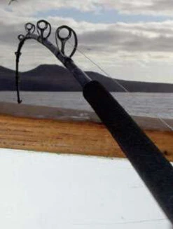 Phenix Black Diamond Hybrid Offshore Conventional Rods -Fishing Goods Store phenix black diamond hybrid offshore conventional rods 94768.1651077055