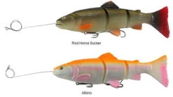 New Arrival -Fishing Goods Store savage gear pre rigged 3d line thru trout lures 89082.1650821678