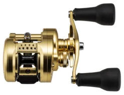 Shimano Calcutta Conquest MD Baitcasting Reels -Fishing Goods Store shimano calcutta conquest md baitcasting reels 25316.1674255441