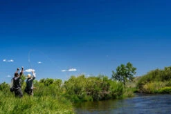 Thomas & Thomas Lotic Series Fly Rods -Fishing Goods Store thomas thomas lotic series fly rods 25489.1651330459