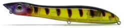 Xorus XOPCKF140FL54G Patchinko FW Lure